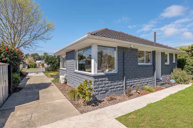 19 Eglinton Street Avondale_16