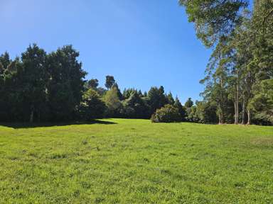 27D Gold Nugget Road_2