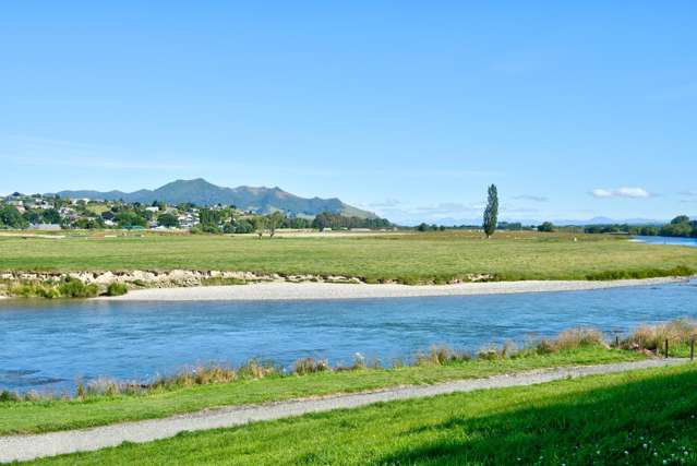 41 Huron Street Gore_1