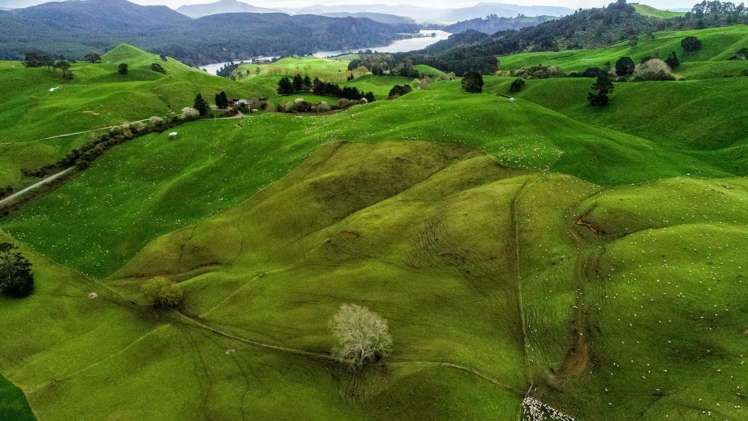 Coates Road Waikite Valley_7