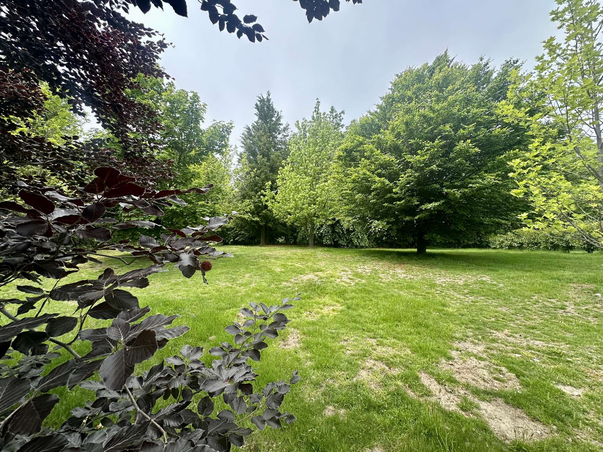 5 Cottonwood Lane Wanaka_0