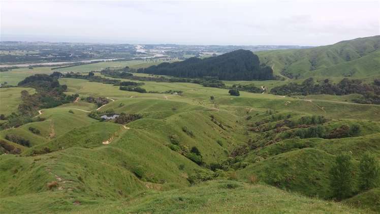 566 Rahui Road Otaki_8