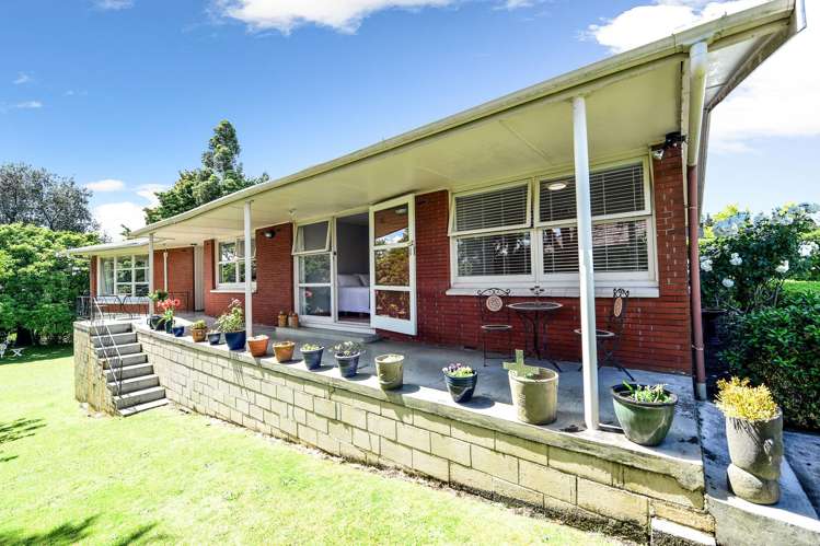 386 Ulster Street Beerescourt_9