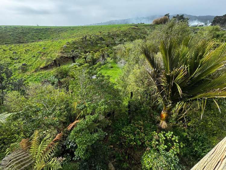 15 Linda Street Oakura_18