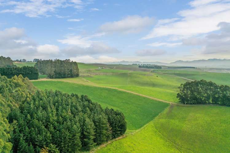 89 Brookstead Road Ngapara_14