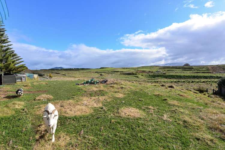 724 Pakura Street Te Awamutu_30