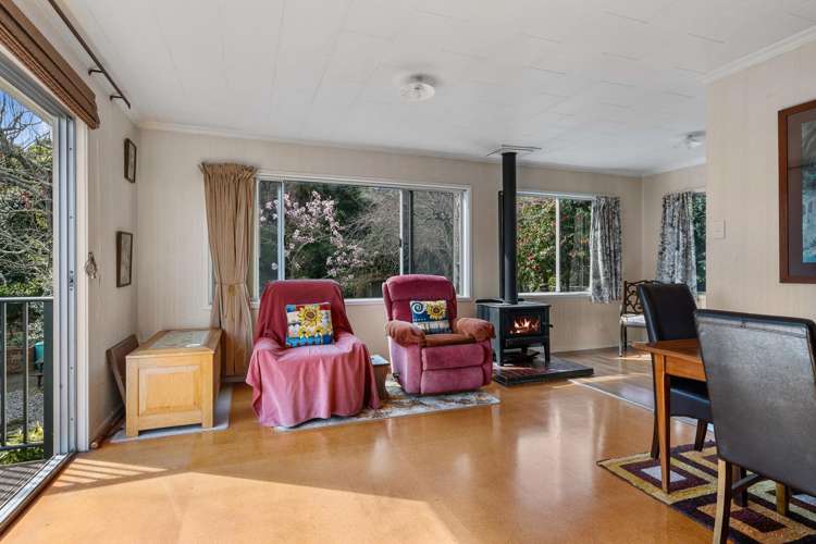 52 Stansell Avenue Tahunanui_10