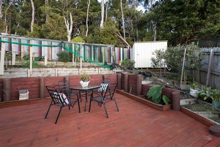 17 Hornsey Avenue Henderson_21