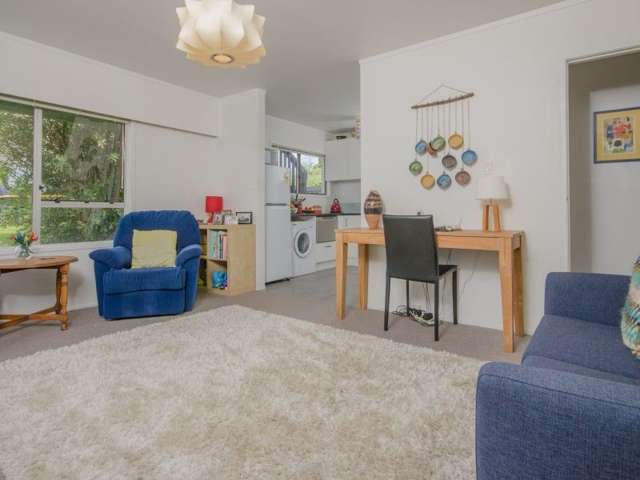 1/126 Lynwood Road New Lynn_3