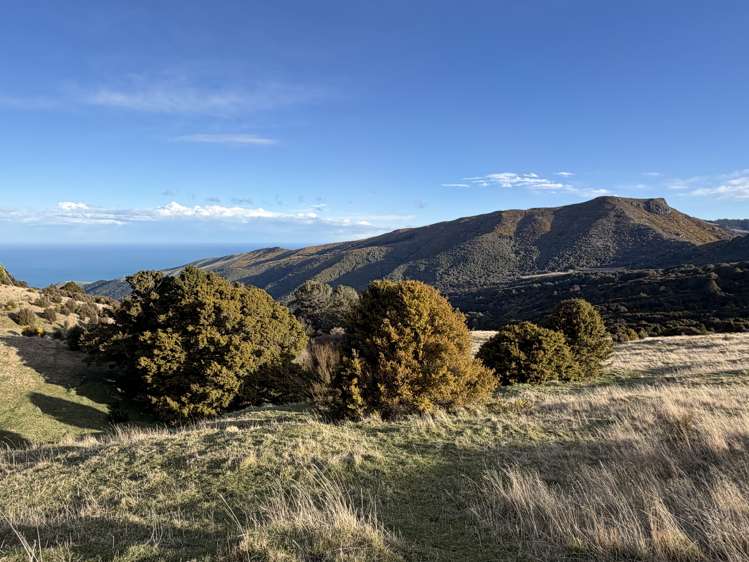 490 Long Bay Road Akaroa_14