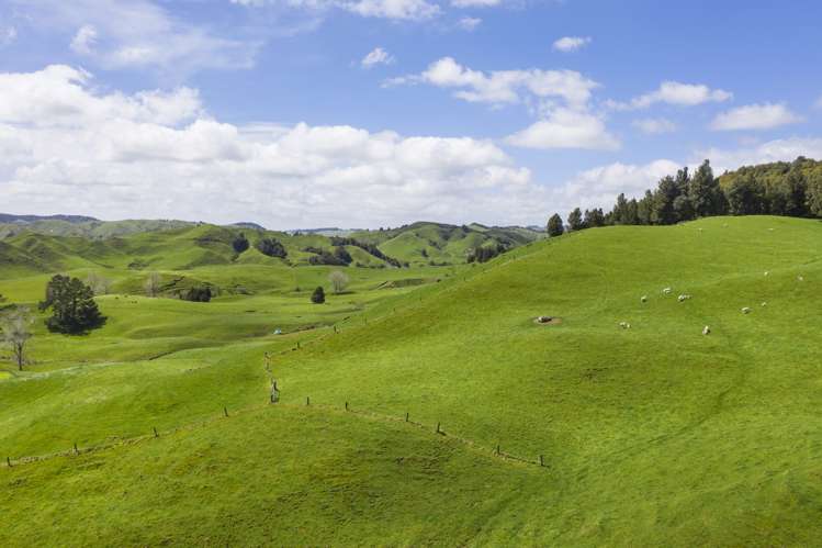 2140 State Highway 4 Aria_6