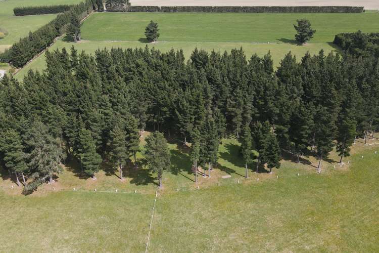 937 Hoskyns Road West Melton_35