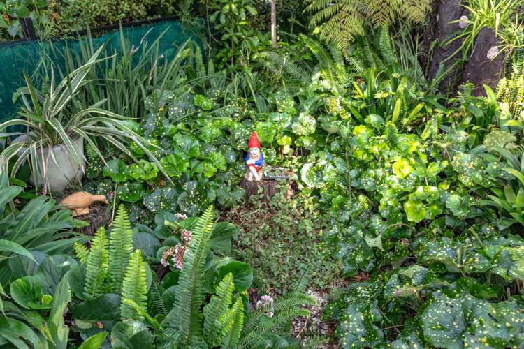 25 Kauri Place Tairua_20