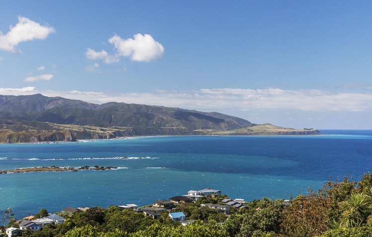 65 Buckley Road Southgate_18