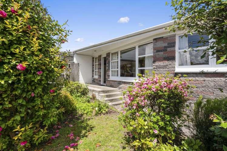 1/209 Tamamutu Street Taupo_1