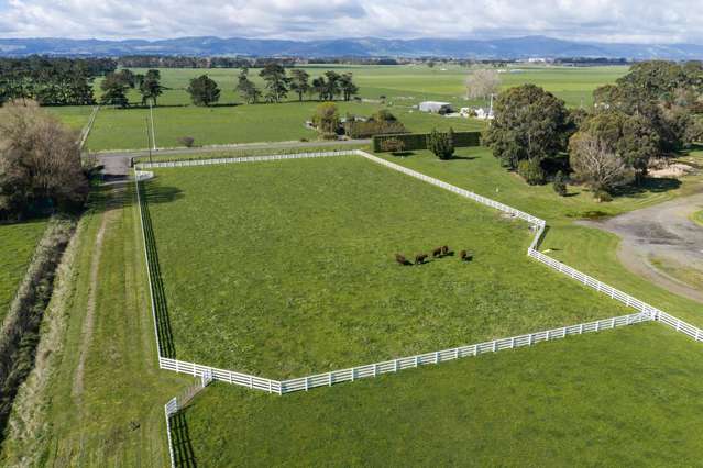 Lot Lot 1 and 2/964 Kairanga Bunnythorpe Road Kairanga_3