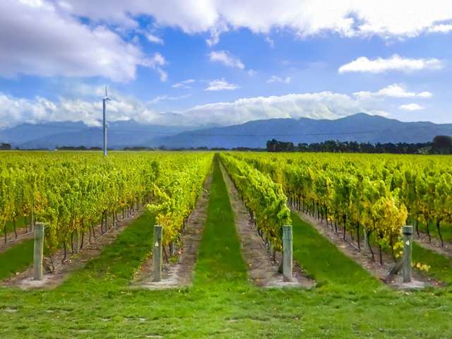 91 Eckfords Road Blenheim_4