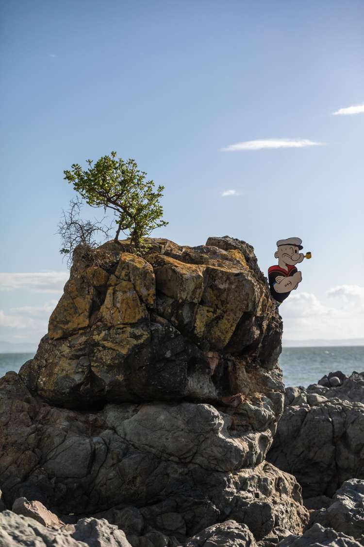 144 Thames Coast Road Thames Coast_15