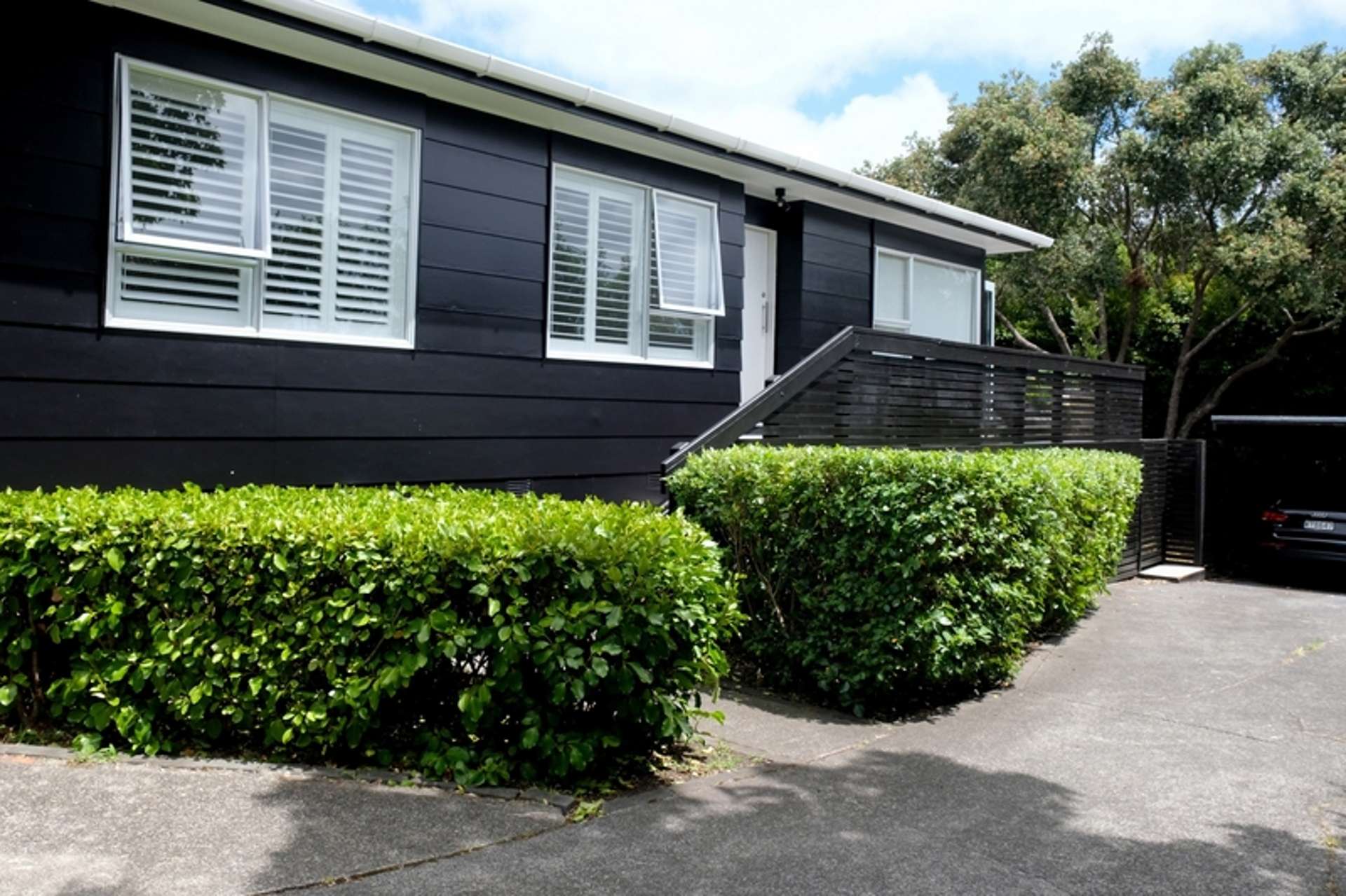 2/4 Tutanekai Street Grey Lynn_0