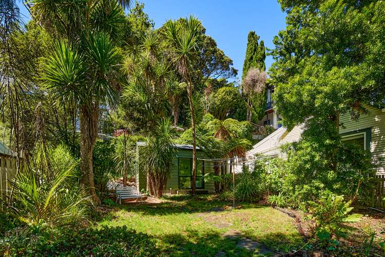 9 Holloway Road Aro Valley_9