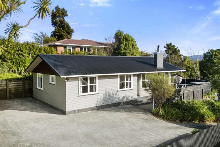 1310 Fergusson Drive Brown Owl_22