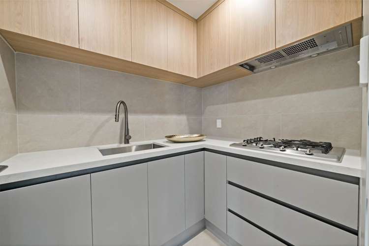 Lot 1,2,6/46 View Road Mt Eden_32