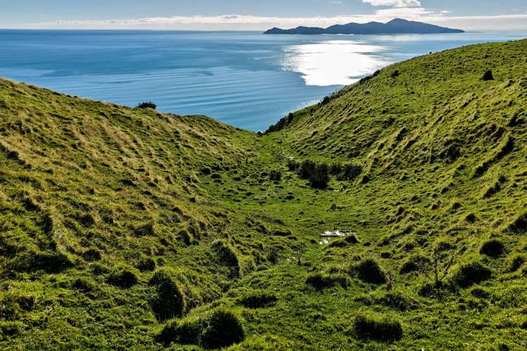 Lot 2,3 and 5/1275 Paekakariki Hill Road Paekakariki Hill_17