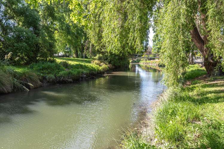 77c Aynsley Terrace Hillsborough_14