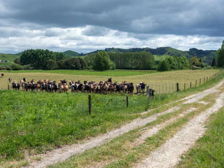 519 Otamarakau Valley Road Pukehina_7