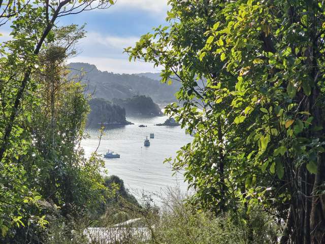 20 Kaka Ridge Road Stewart Island_3