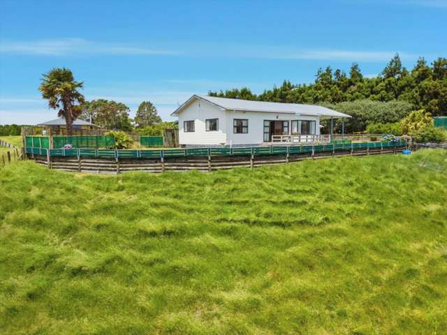 263 Old Coach Road Paengaroa_3