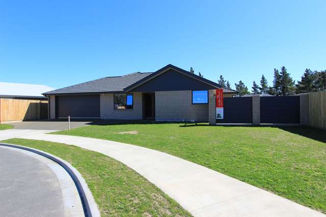 12 Mcnabb Place Witherlea_1