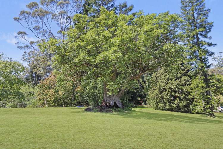 45-47 Alpine Terrace Tamborine Mountain_19