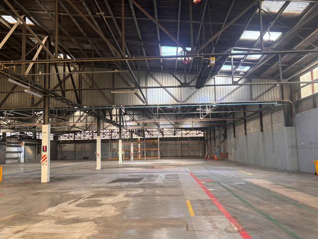 101 Collins Avenue Tawa_4