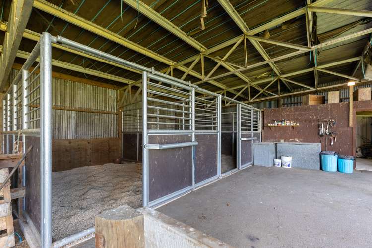 65 Wills Road Upper Moutere_15