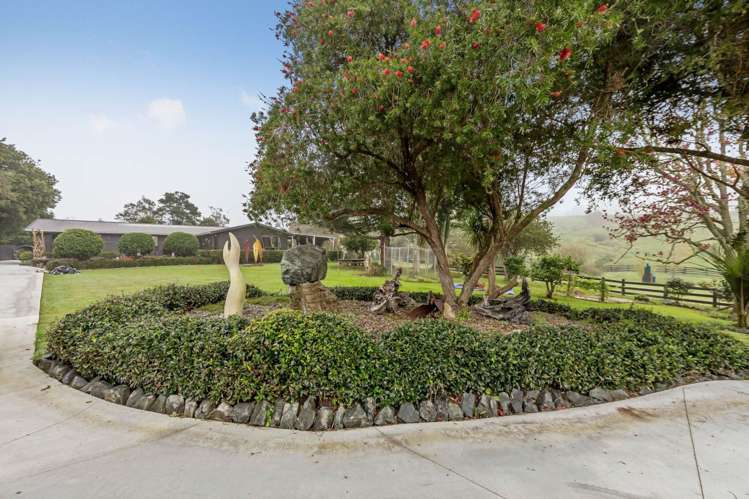 258 Blackbridge Road Dairy Flat_19