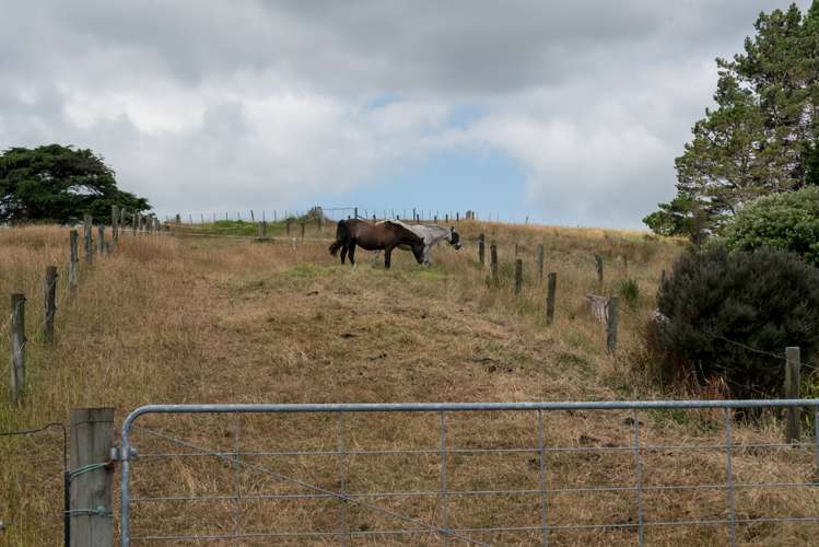 19 Fairhill Place Flat Bush_23
