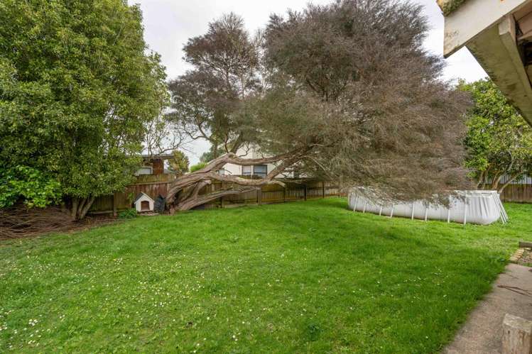 30 Pine Avenue Bader_13