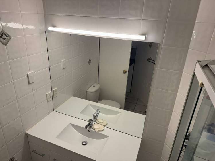 18 Hobson Street 10015_7