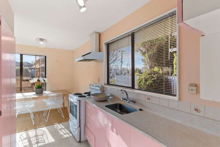 8 Hargest Crescent Sydenham_8