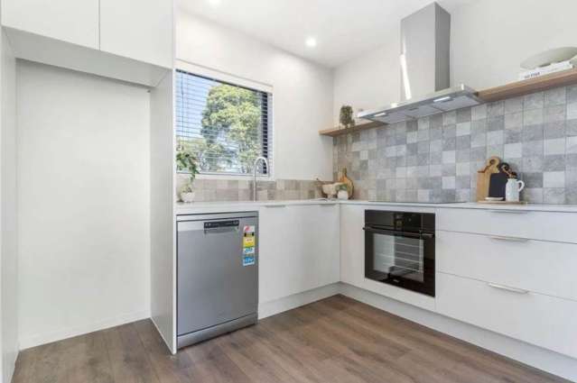 56B Nelson Street Pukekohe_1