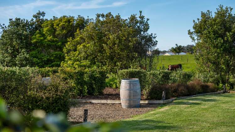 111 Wharf Road Clarks Beach_48