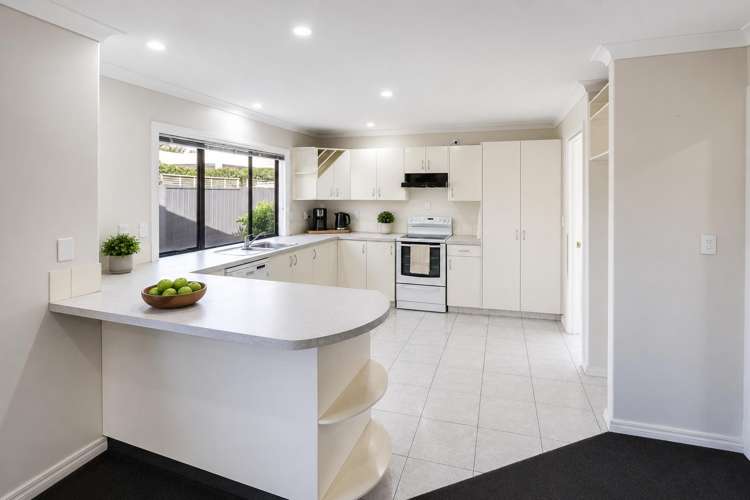 71 Avenue Road Greenmeadows_7