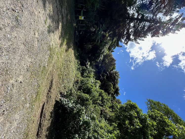 11 Gribble Grove Stokes Valley_7