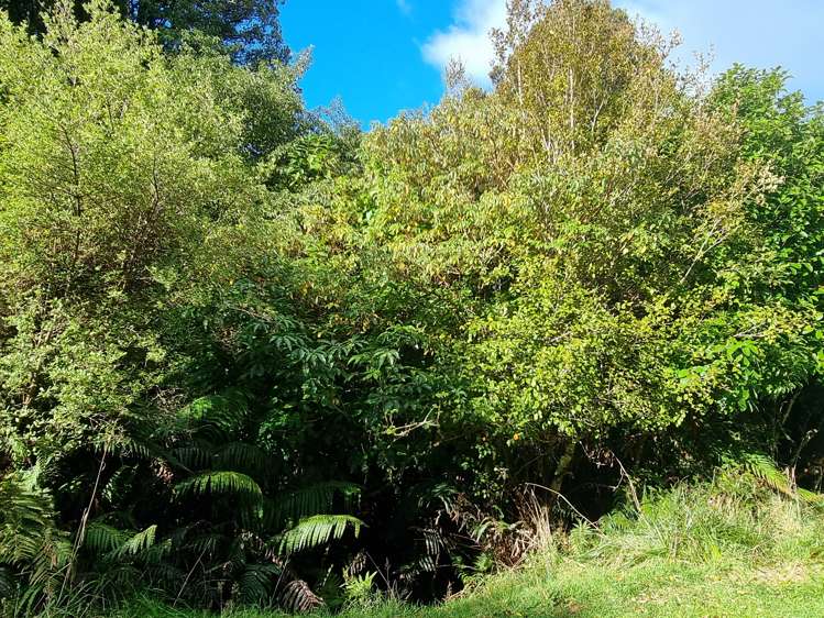 186 Horseshoe Bay Road Stewart Island/Rakiura_9