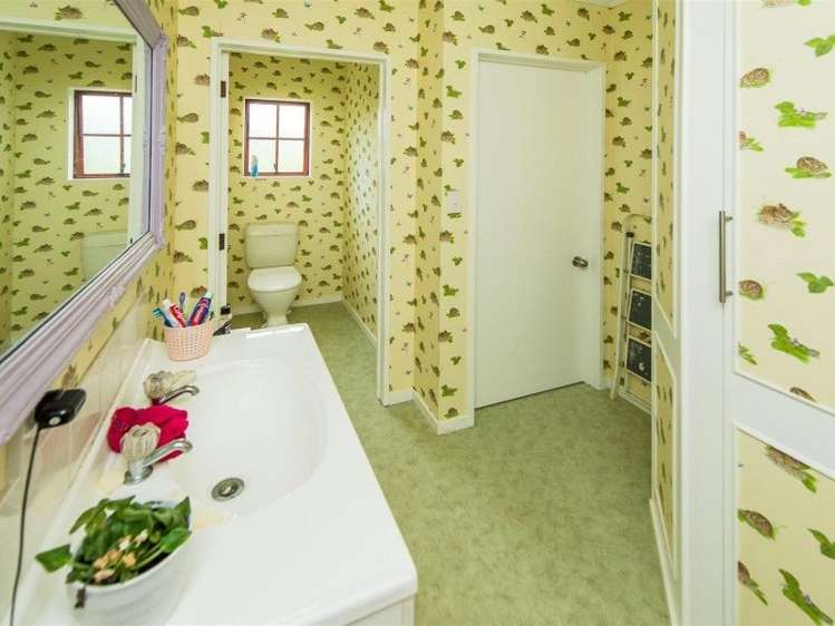 161a No 3 Line Wanganui East_30