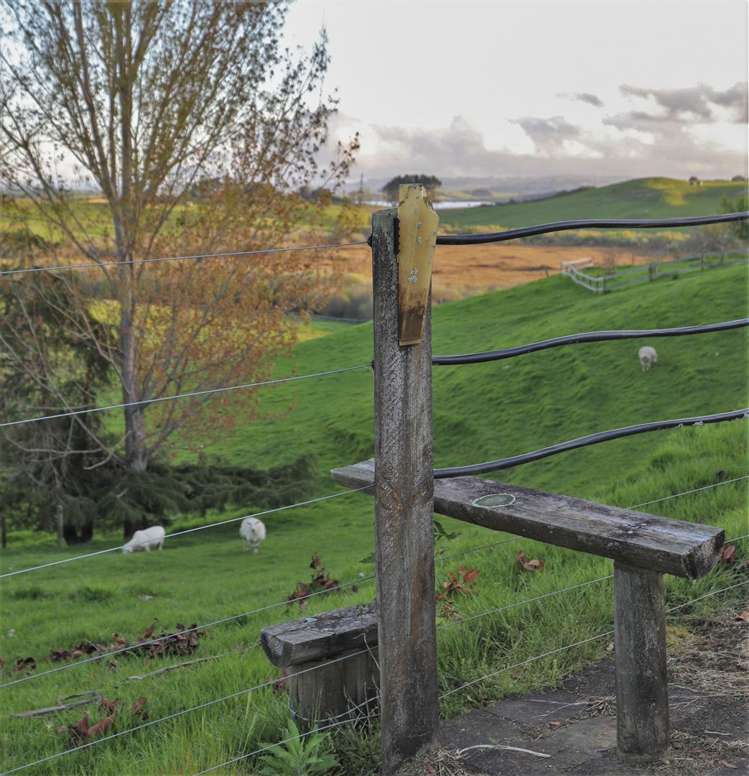 91 Churchill Road Rangiriri_44