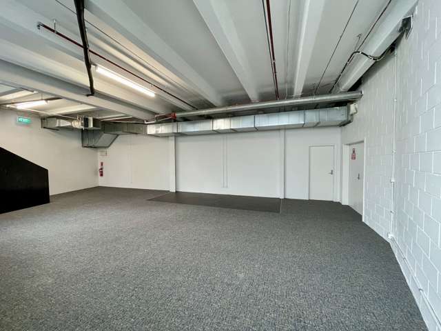 Ground floor/24 Greys Avenue Auckland Central_3