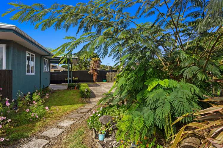 15 Mair Street Matata_11