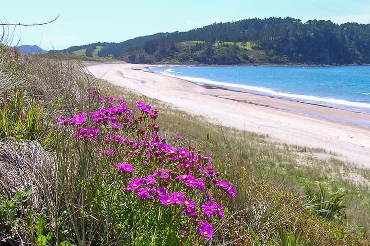 17 Pye Place Hot Water Beach_22